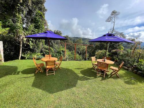 Restorāns, Glamping Finca Corazón (Glamping Finca Corazon) in Arcabuco