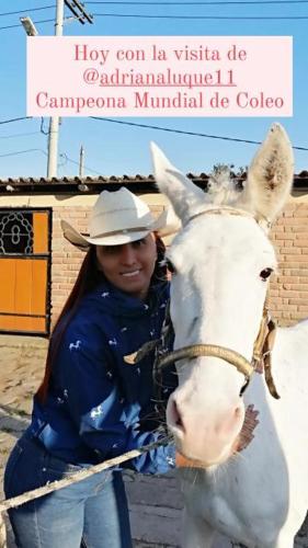 La Isabela Estancia Ecuestre