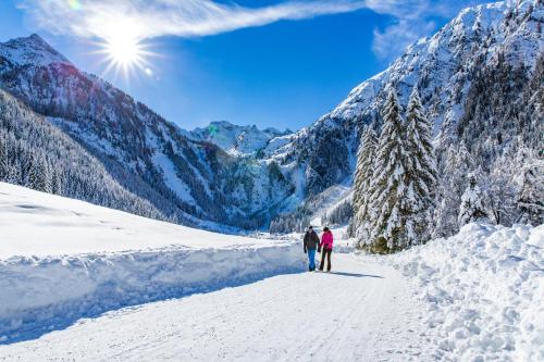 Cityhouse Apartments Schladming in Schladming