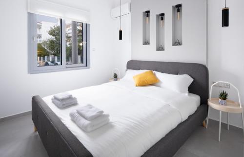 Andos Cozy & Luxury Upgraded Apartments, Athens (photo 6)