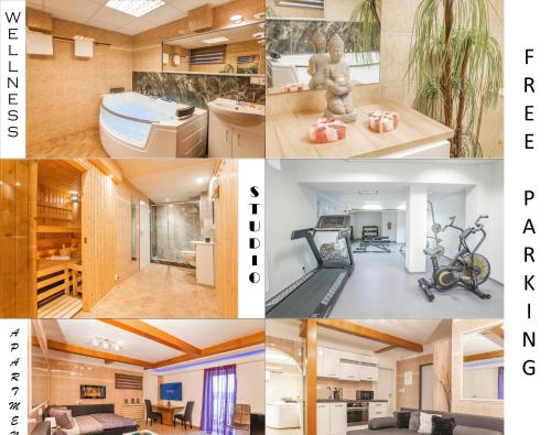 Wellness studio! Finnish sauna, Whirlpool, Gym & more! - Apartment - Prague