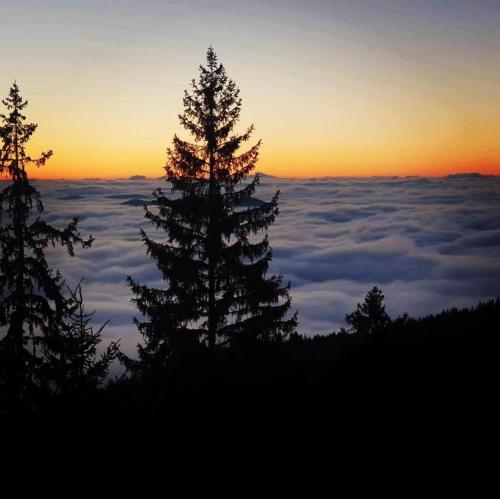 Гранд Манастира Частен Апартамент, Pamporovo (fotografie 3)