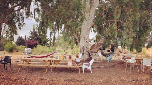 Family caravan- Eco farm
