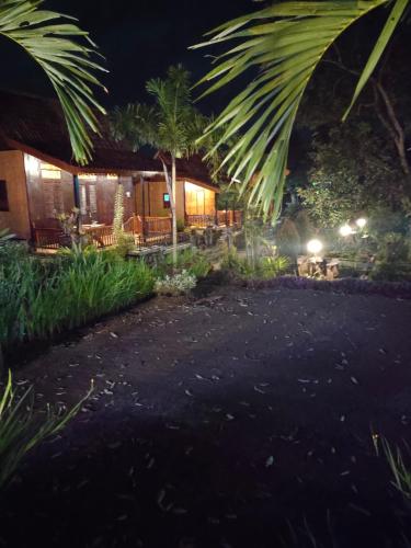 jala sutra cottages