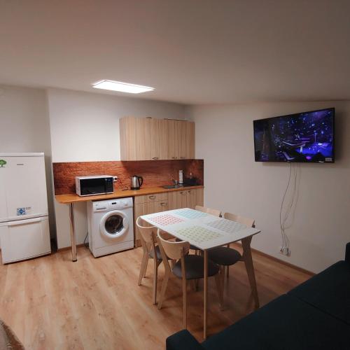 Kitchen, M/S Factory Apartments in Northern Tallinn