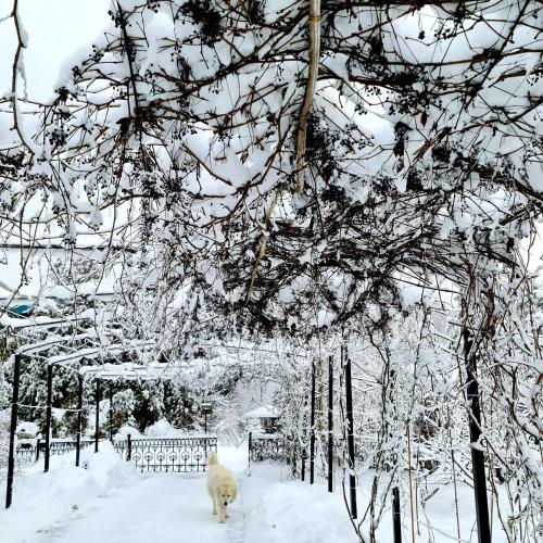 Ulitkino Park Hotel - image 8