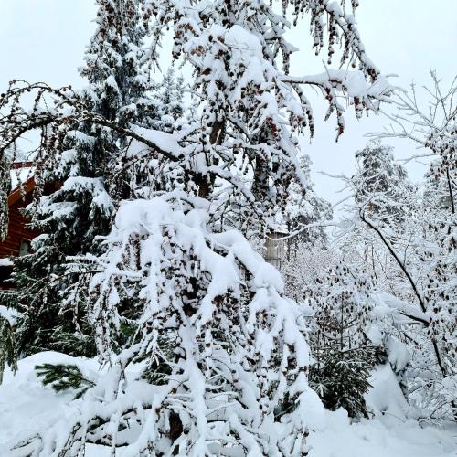 Ulitkino Park Hotel - image 6