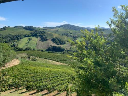 Apkārtne, Agriturismo i Gessi in Corvino San Quirico