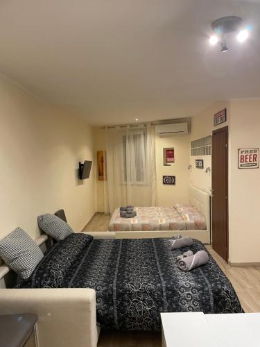 Vivere il Borgo in Genzano di Roma