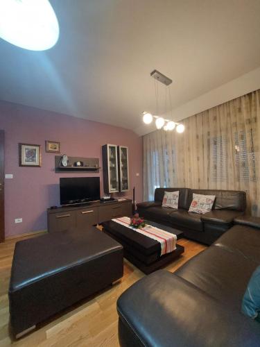 Apartment in Podgorica 