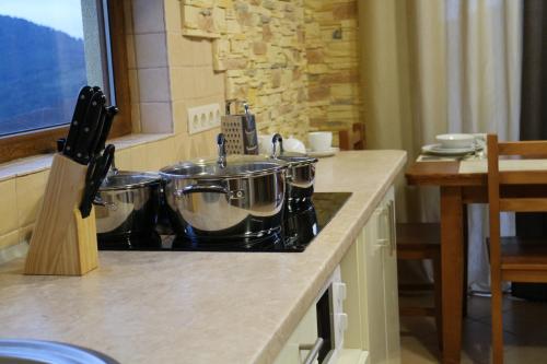 virtuve, West Wood ApartHotel in Knyahynya