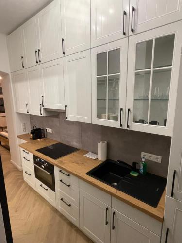 Cozy apartment in a historic building near Schloss Schonbrunn