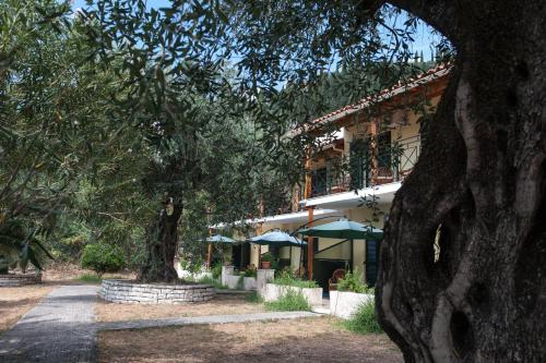 Villa Rita & Helena Kassiopi 