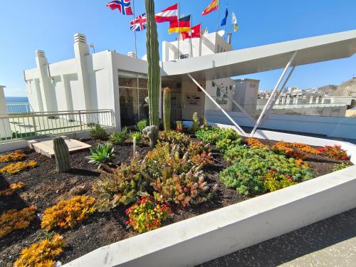 Fantastic apartment on the sea, with direct access to the beach