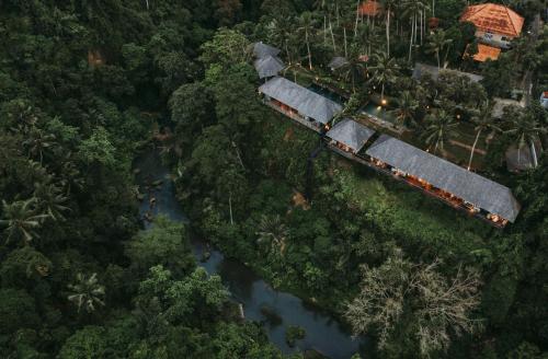 Magnificent 9 BR Complex Pool Villas with Valley View in The Heart of Ubud