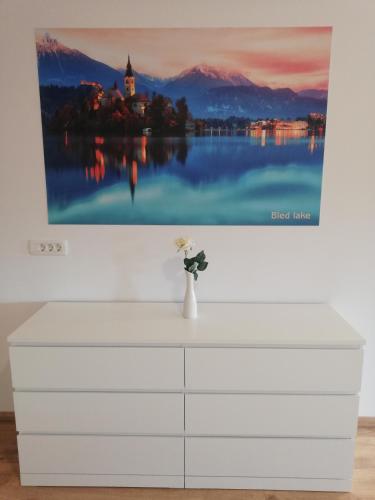 Life Hostel Slovenia 4
