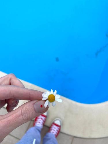 Suhie Vesla Guest House - image 7