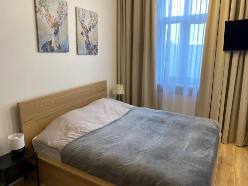 Apartament w centrum in Коцержина