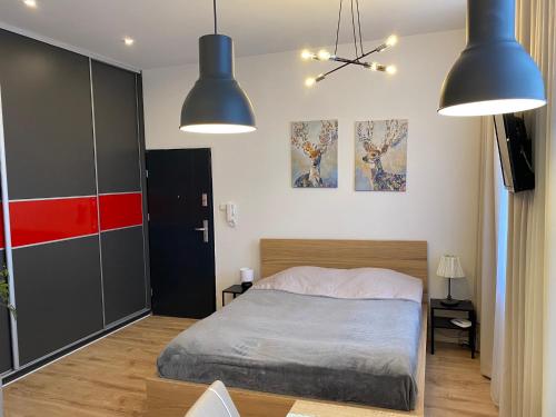 Apartament w centrum in Коцержина