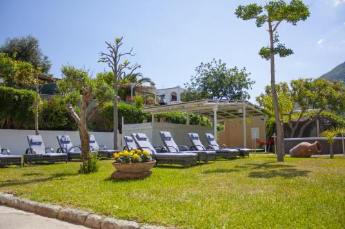 Сад, Hotel Parco Delle Agavi in Ischia Island