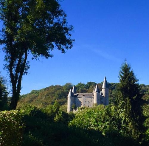 COCOONING near DINANT 300m from River Meuse