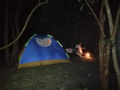 Aqua Kithulgala Camp