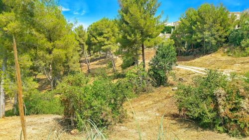 Villa Reiala - image 4