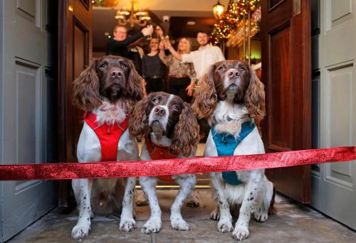 The Temperance Inn - image 11