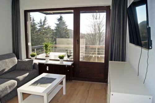 Winterberg Appartement 21118
