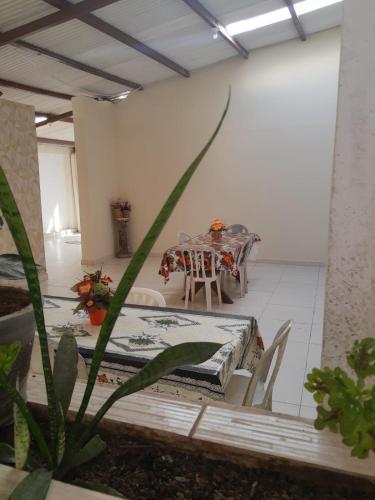 Hotel Paradiso in Joao Pessoa City Center
