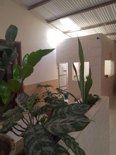 Hotel Paradiso in Joao Pessoa City Center