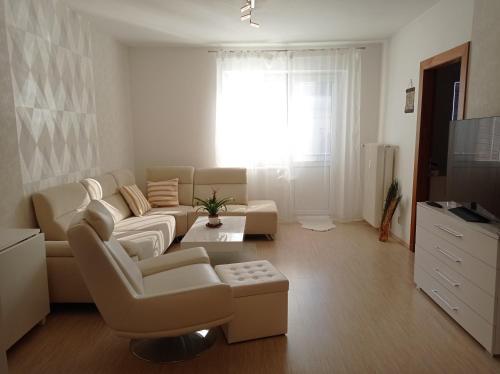Amazing flat in old town with large balcony, Bratislava (fotografie 7)