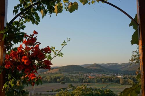 Podere Sette Piagge