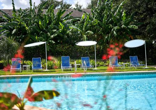 Shady Villa Hotel - image 14