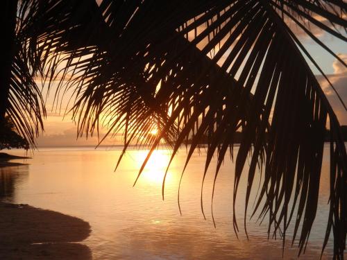 Erakor Island Resort & Spa - image 5