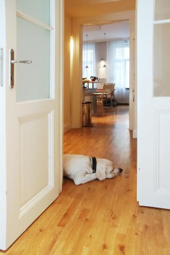 One-Bedroom Apartment with Sauna image 6