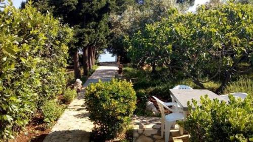 Apartment Brane - charming and close to the sea