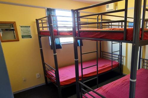 Single Bed in 4-Bed Dormitory Room