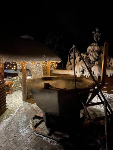 Котедж ВІКТОРІЯ, Bubnyshche (foto 6)
