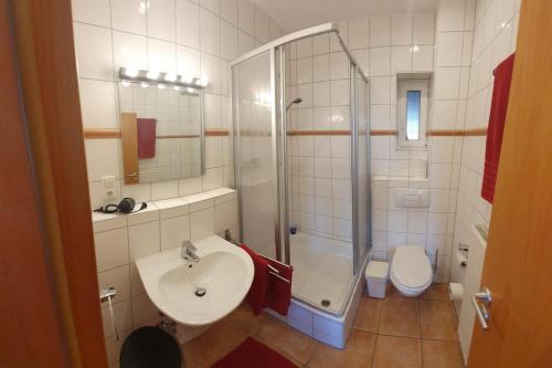Campus Apartment Alexander, Drážďany (fotografie 5)