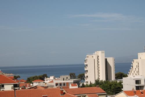 Apartments Villa Silvia - image 8