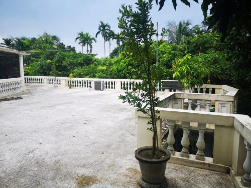 4 Bed Luxury Villa