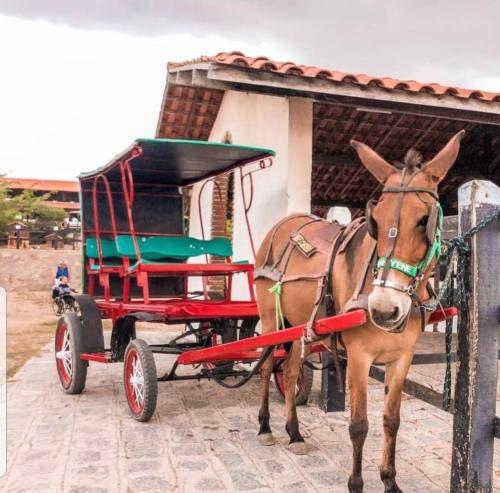 Flat no Hotel Fazenda Monte Castelo em Gravatá - PE