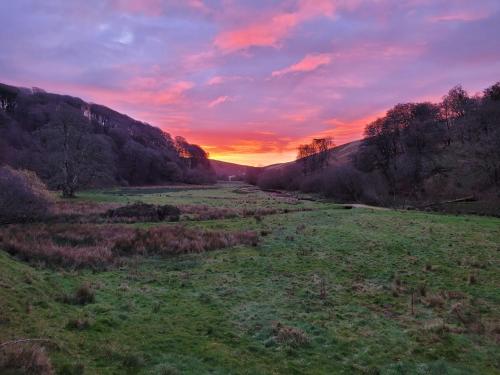 The Exmoor Forest Inn - image 9