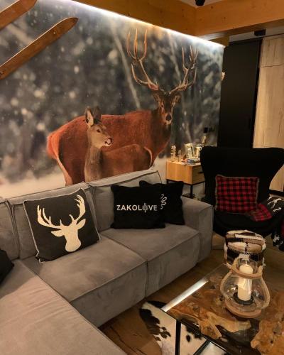 Apartament ZAKOLOVE pod Skocznią - Sauna , Jaccuzi , piękny taras, Zakopane