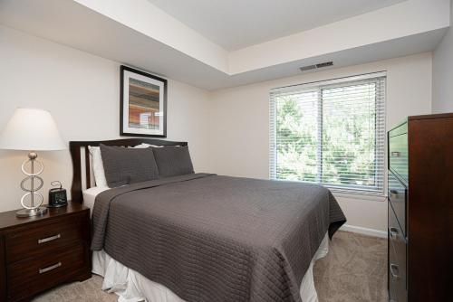 Northwest Washington Center Apartments - image 7