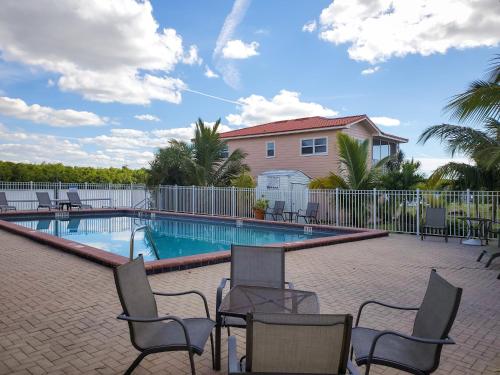 Swimming pool, Captain's Table Hotel by Everglades Adventures in Everglades City (FL)