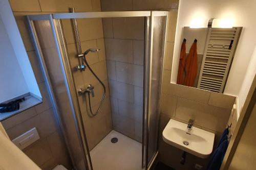 Villa Haniel Apartment Frieda, Drážďany (fotografie 9)