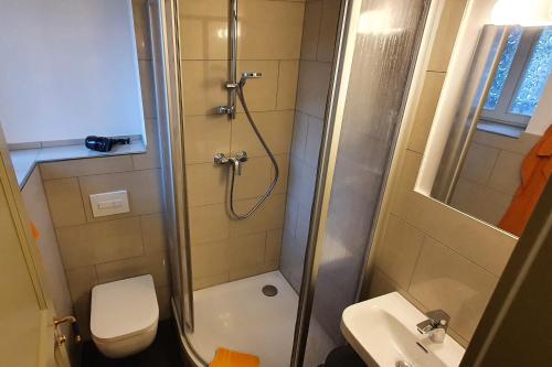 Villa Haniel Apartment Frieda, Drážďany (fotografie 10)