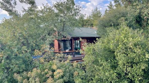 First Light Cabins, Amirim (foto 3)